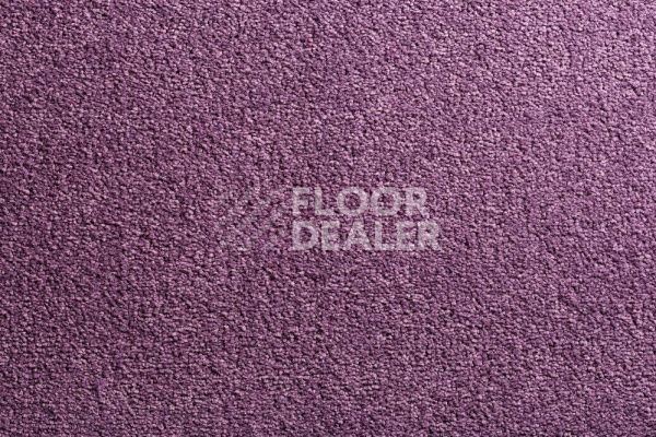 Ковролин CONDOR Carpets Bologna 15 фото 1 | FLOORDEALER
